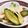 みやざき絵笛's cooksnap of when they made 胡瓜とかぶの あっさり漬け.