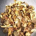 Pastior's cooksnap of when they made ❇︎豚肉とこんにゃくと舞茸の甘辛炒め❇︎.