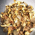 Pastior's cooksnap of when they made ❇︎豚肉とこんにゃくと舞茸の甘辛炒め❇︎.