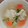 hiro1616's cooksnap of when they made 茨城野菜の水ぎょうざスープ.