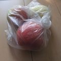 きらり流れ星's cooksnap of when they made りんごの保存方法.