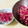 LEAF88's cooksnap of when they made ちょっと箸休めに〜紅芯大根のナムル.