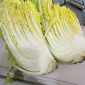 リラシャン's cooksnap of when they made 快感！！白菜の切り方☆.