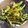 ちゃまたまご's cooksnap of when they made 旬の野菜でナッツ胡麻和え.