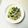RoomA's cooksnap of when they made ほうれん草とツナのオイルパスタ.