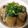 クッキン坊主's cooksnap of when they made 大根消費！圧力鍋で時短！牛筋大根.