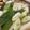 ﾌﾞﾚﾝﾀﾞ's cooksnap of when they made 簡単！シンプル！基本！寄せ鍋.