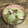 記念樹's cooksnap of when they made 野菜を食べよう♪白菜としめじの炒もの.