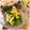 nakamucchi's cooksnap of when they made きゅうり、塩昆布、コーンのごま油和え.