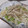 きらり流れ星's cooksnap of when they made 大根と大根葉のオイマヨ炒め✿.