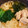 クックEYE0RI☆'s cooksnap of when they made にゅう麺◆やさしい和風だし.