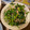 こうせい(=ﾟωﾟ)ﾉ's cooksnap of when they made ほうれん草と新玉ねぎのツナ缶和え.