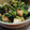 ひっこ's cooksnap of when they made 大根葉と油揚げの炒め煮.
