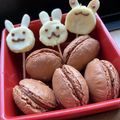 マフィンと二フラー❁'s cooksnap of when they made 乾燥なし！簡単♪空洞なしチョコマカロン.