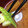 COCO&Mo-'s cooksnap of when they made 新じゃがときぬさやのみそ汁.