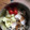 Ruriluru's cooksnap of when they made やってみて！プチトマトの切り方.