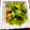 めぐ＊ぴぃ's cooksnap of when they made 青梗菜と納豆のナムル風.