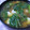 ゆみにゃむ's cooksnap of when they made つるむらさきのみそ汁.