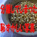 ゆみにゃむ's cooksnap of when they made 簡単すぎる☆焼肉のたれでゴマドレッシング.