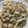 ちいたま５５'s cooksnap of when they made 豚小間と油揚げの炒め物.