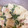 クックTVQUZ8☆'s cooksnap of when they made カブとウインナーのとろ②クリーム煮.