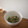 みるく茶's cooksnap of when they made ピーマンのワタは捨てないで！.