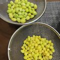 ねずみんパラダイス's cooksnap of when they made 誰でも簡単！銀杏の薄皮の剥き方。.