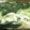 いっけっけ☆☆'s cooksnap of when they made 長ネギの冷凍保存＊みじん切りも簡単.