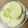 ちゃーりーWKY's cooksnap of when they made のどに詰めない安全なリンゴの切り方.