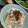 yu228's cooksnap of when they made 桜えび香る＊柚子胡椒だれの冷奴.