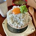 monemaruku's cooksnap of when they made ごま油が香る☆釜揚げしらす丼.