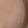 Tiny♡'s cooksnap of when they made Morningふんわりココア.