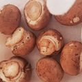 kaori238's cooksnap of when they made 冷凍しない☆簡単マッシュルームの保存方法.