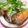 もすろー's cooksnap of when they made イスタンブル名物さばサンド（トルコ）.
