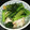 まんまるタマゴ君's cooksnap of when they made 鶏と小松菜のさっぱり炒め.