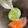 ゴマちゃんキッチン's cooksnap of when they made カット野菜の簡易保存.