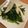 ＊naocook＊'s cooksnap of when they made 給食で大人気☆ほうれん草のマヨネーズ和え.