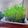 へい♡ゆー♡'s cooksnap of when they made 豆苗！育てて何回も食べる！.