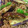 プルメリア74's cooksnap of when they made 超～簡単★ナスと挽肉炒め.