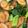 クックJ5DXNZ☆'s cooksnap of when they made 無限小松菜とごぼうの作り置き常備菜.