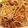 lemonina's cooksnap of when they made ソース焼きそば.