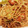 lemonina's cooksnap of when they made ソース焼きそば.