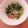 クック5FKMOZ☆'s cooksnap of when they made 子供絶賛☆水菜のガーリックマヨ炒め.