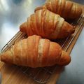 みみ母's cooksnap of when they made 冷蔵発酵でサクサクのクロワッサン.