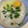 yu228's cooksnap of when they made 白だし味噌de簡単☘️最強とろろ飯.