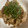 かんじきんぐ's cooksnap of when they made 豚肉と舞茸と厚揚げのみぞれ煮.