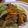 ももむー's cooksnap of when they made 牛肉とレタスのオイスターソース炒め.