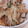 あさここなっつ's cooksnap of when they made 豚肉ともやしのオイスター炒め.