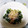 ひトみ's cooksnap of when they made ほうれんそうのおかか合え.