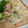 クック8MGGJ5☆'s cooksnap of when they made 簡単☆美味☆白菜とハムの胡麻マヨのサラダ.